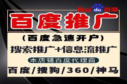 案例分析：SEM推广代运营效果